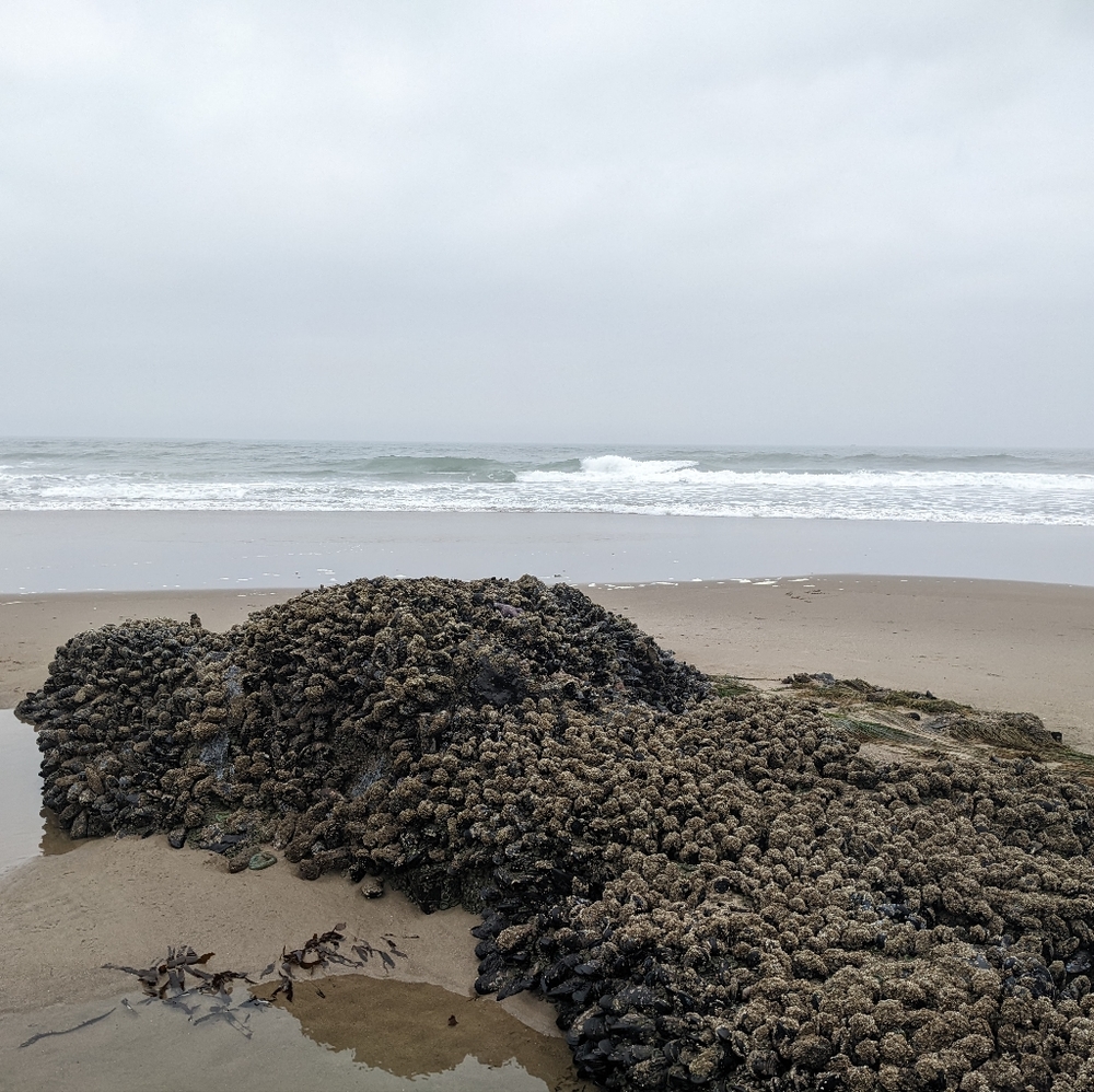 Meet your Posher, Paul